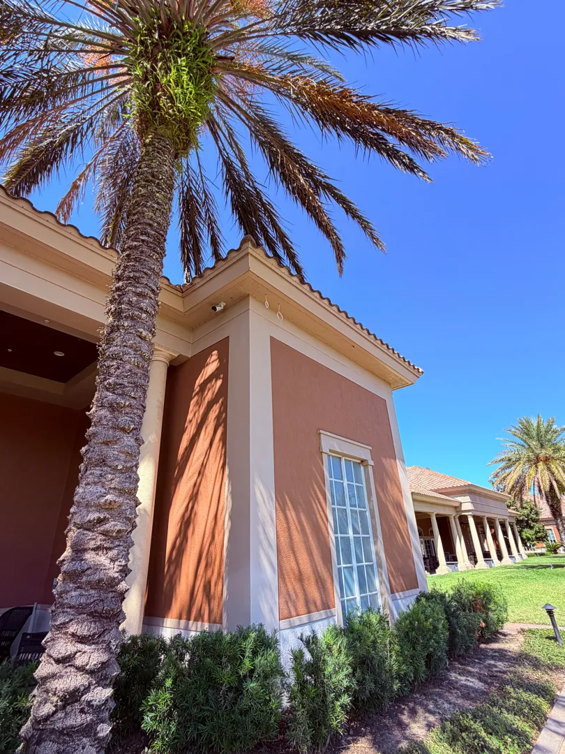 Clubhouse building exterior w/ palm (site context) at a Data Pro Communications project in Groveland, FL